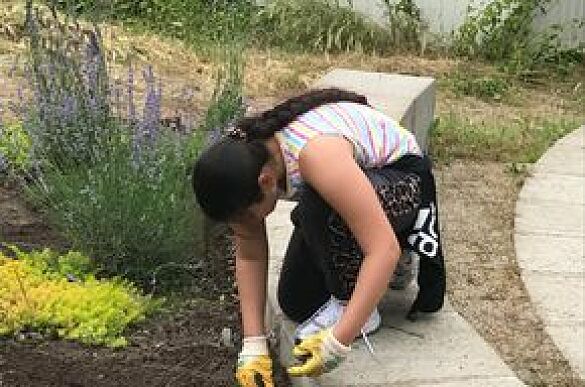 Mädchen beim Unkraut jäten